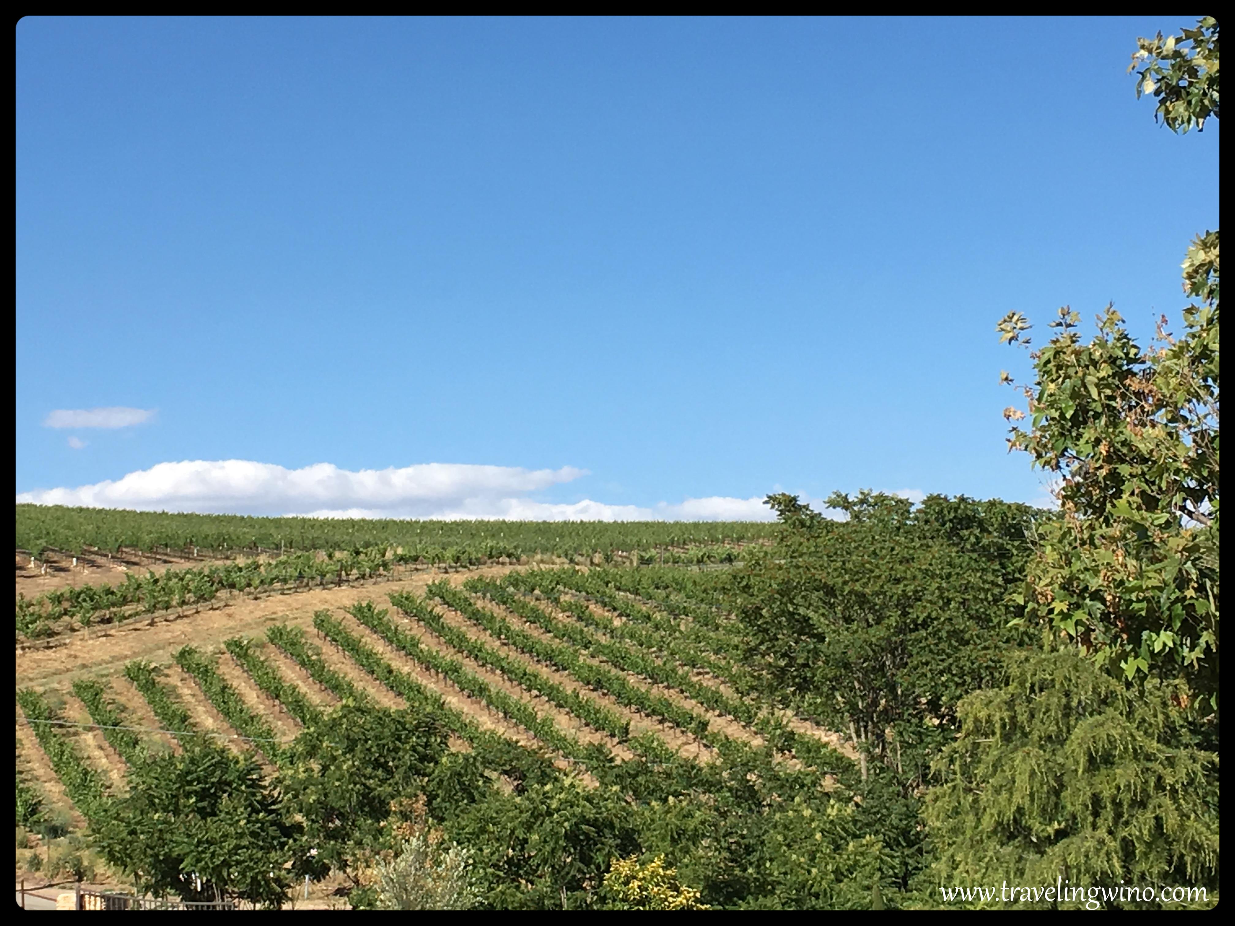 Traveling in Paso Robles Wine Country